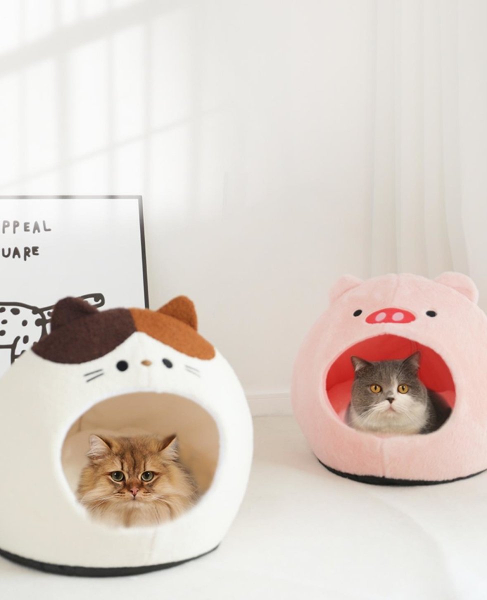 all dogs products all cats products all small animal products
