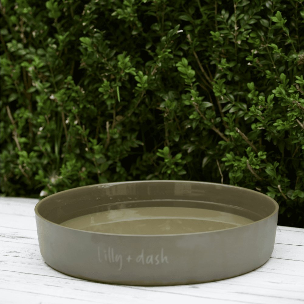 all dogs products all cats products all small animal products