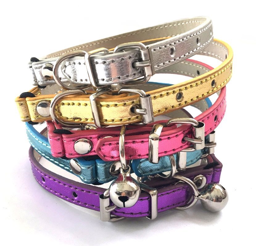 all dogs products all cats products all small animal products