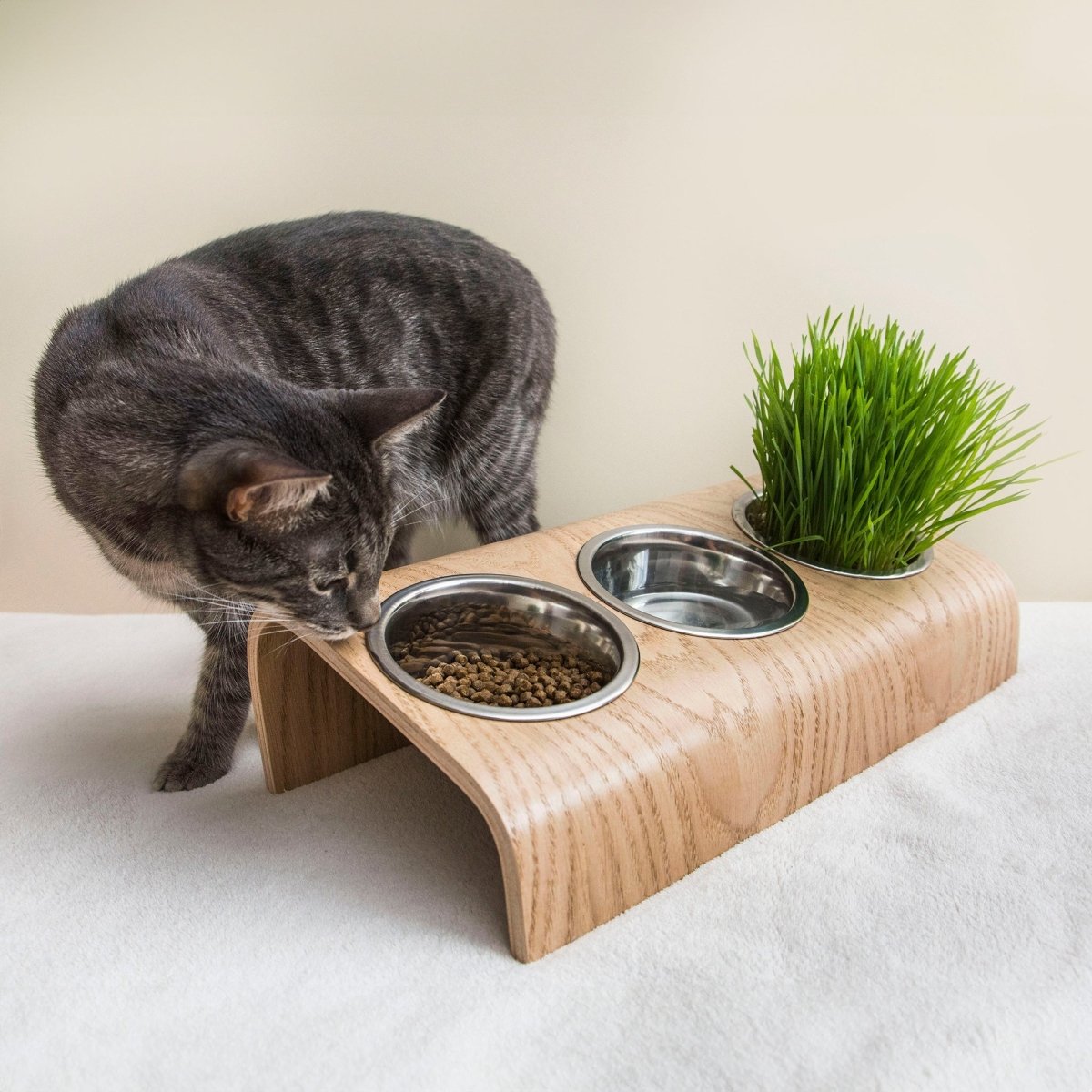 all dogs products all cats products all small animal products