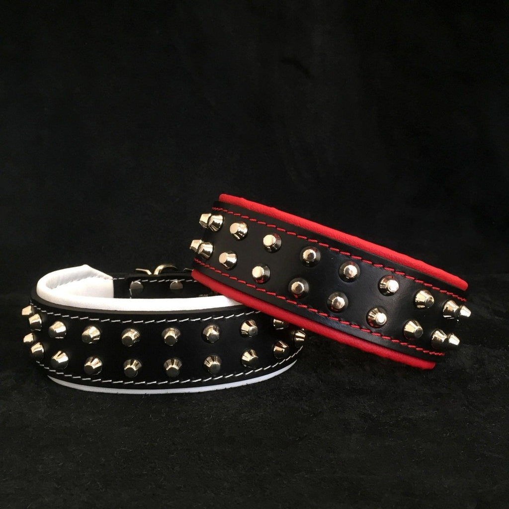 all dogs products all cats products all small animal products
