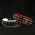 all dogs products all cats products all small animal products