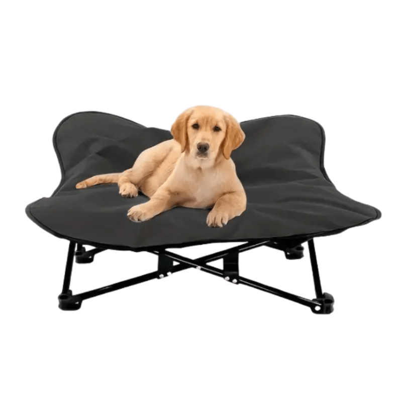 all dogs products all cats products all small animal products