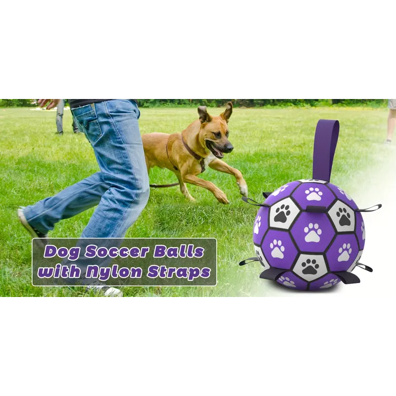 all dogs products all cats products all small animal products