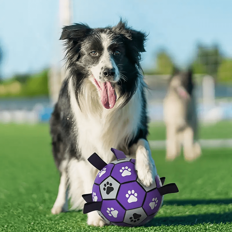 all dogs products all cats products all small animal products