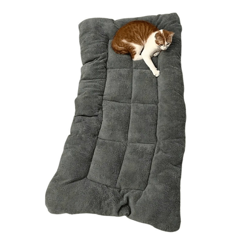 all dogs products all cats products all small animal products