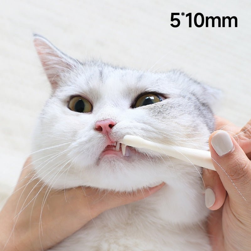 all dogs products all cats products all small animal products