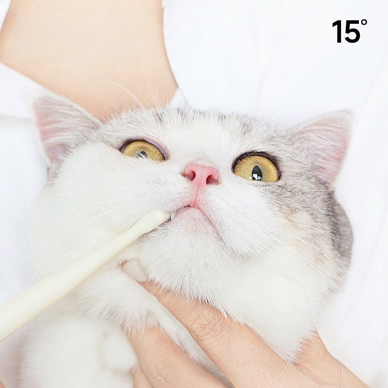 all dogs products all cats products all small animal products