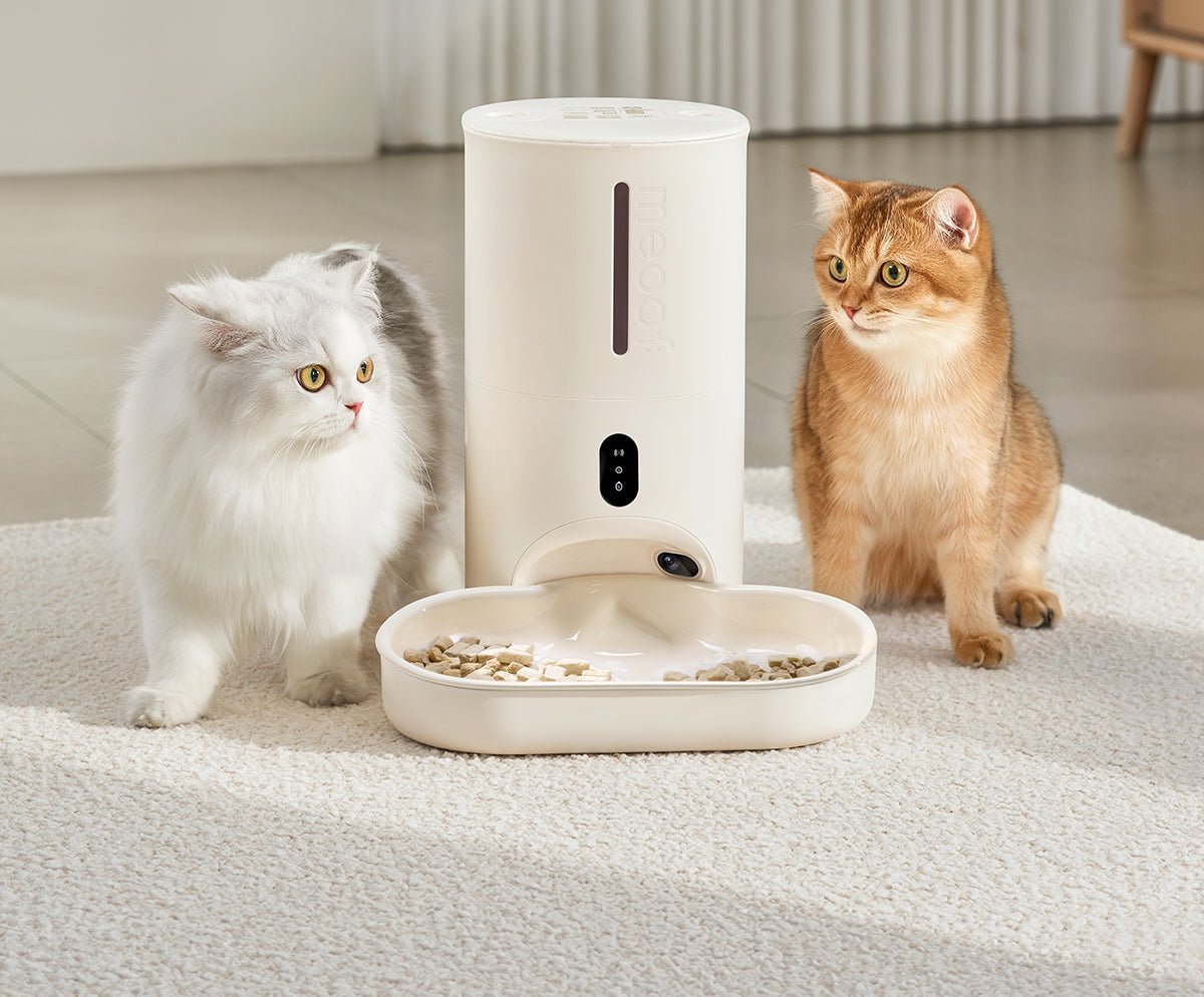 all dogs products all cats products all small animal products