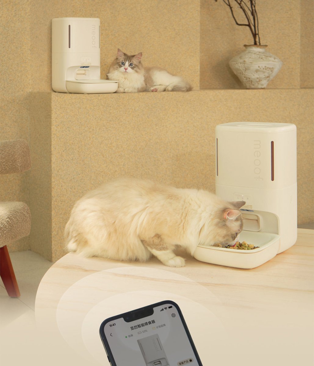 all dogs products all cats products all small animal products