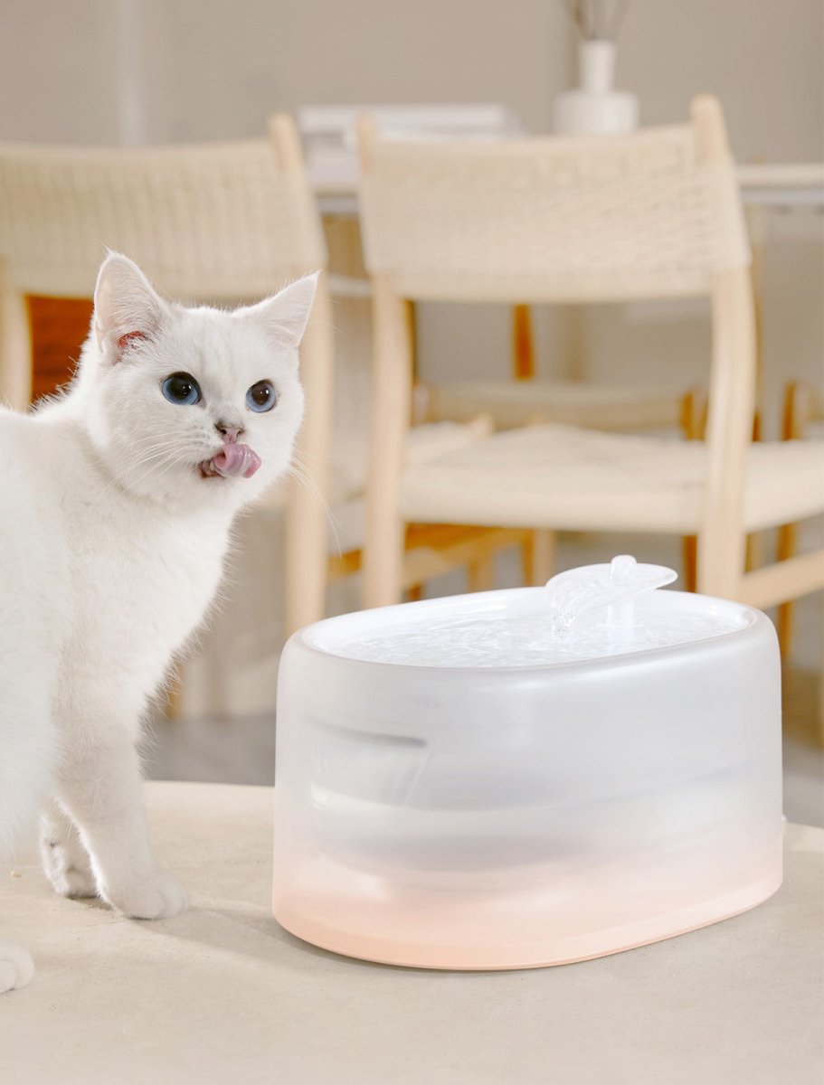 all dogs products all cats products all small animal products