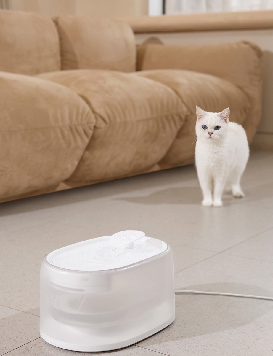 all dogs products all cats products all small animal products
