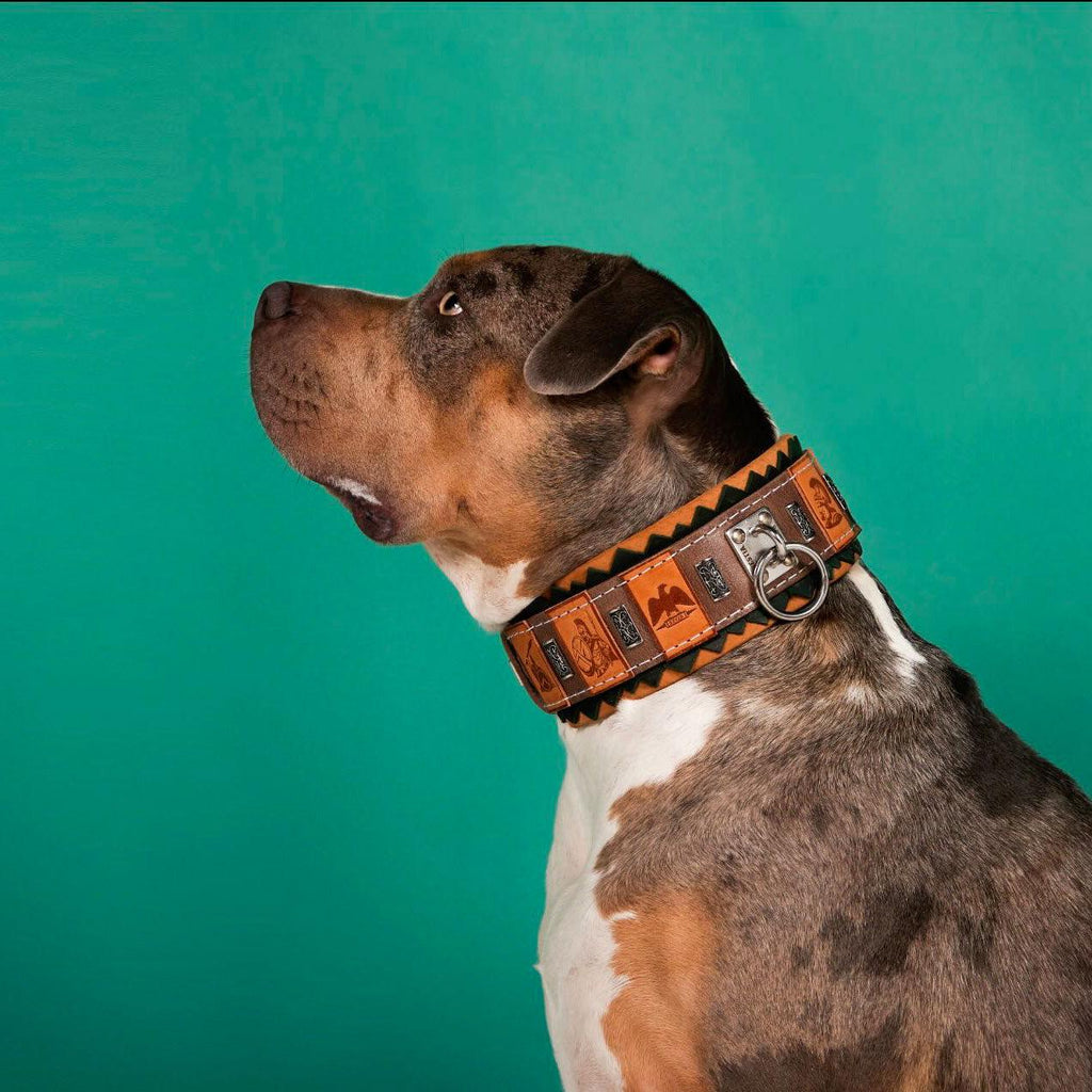 all dogs products all cats products all small animal products