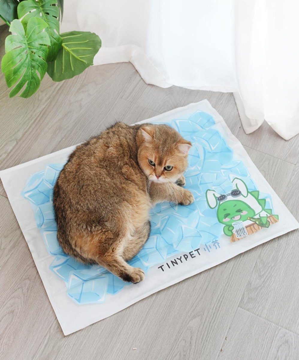 all dogs products all cats products all small animal products