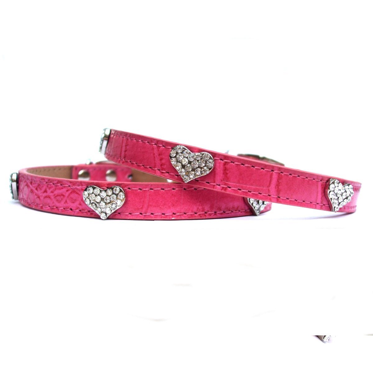 all dogs products all cats products all small animal products