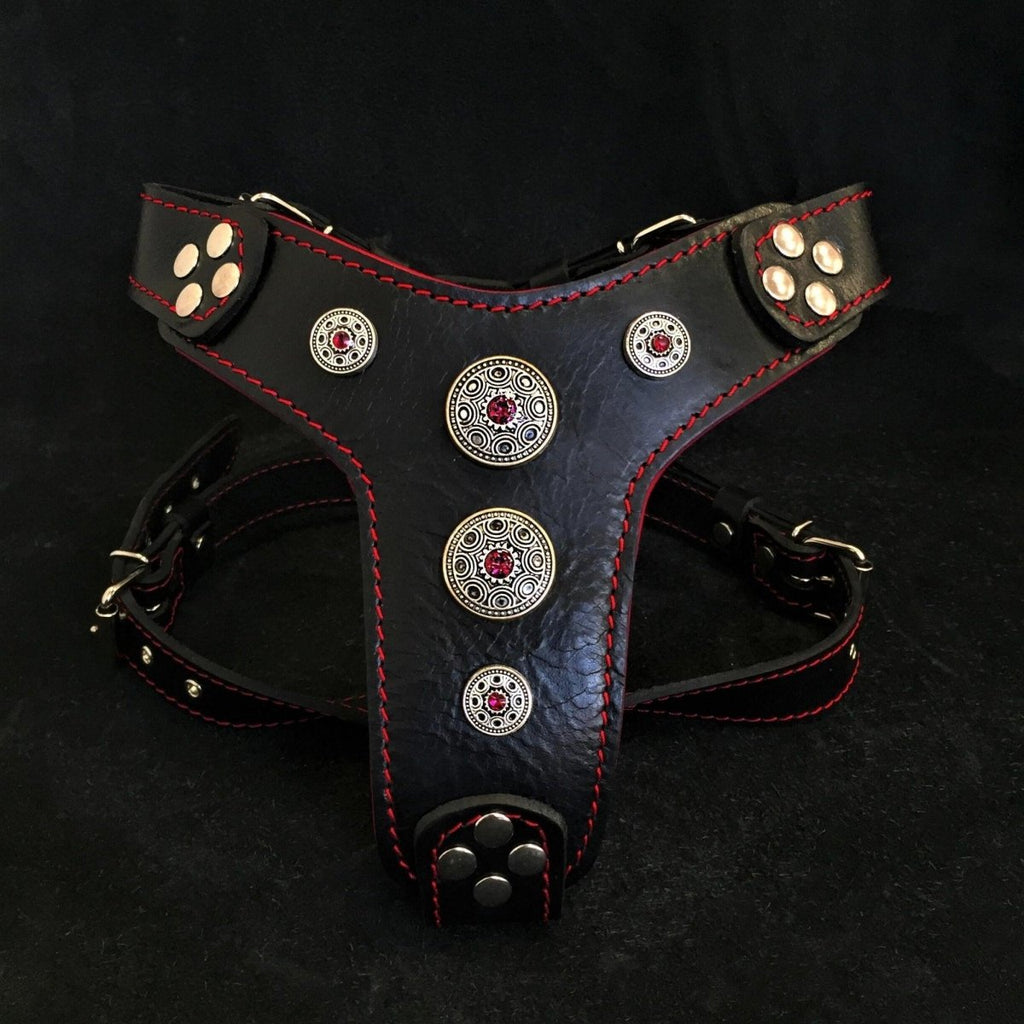 all dogs products all cats products all small animal products
