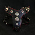 all dogs products all cats products all small animal products