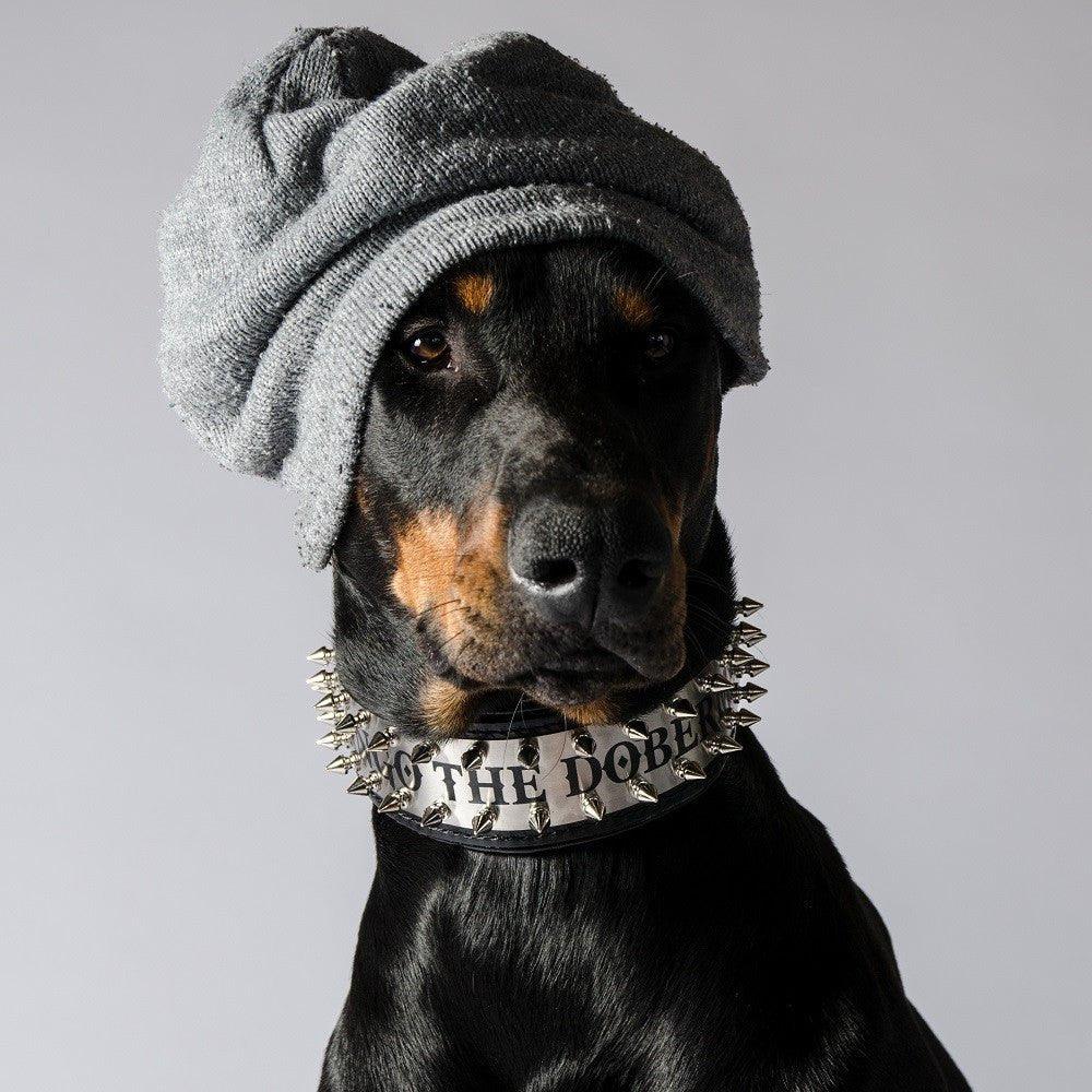 all dogs products all cats products all small animal products