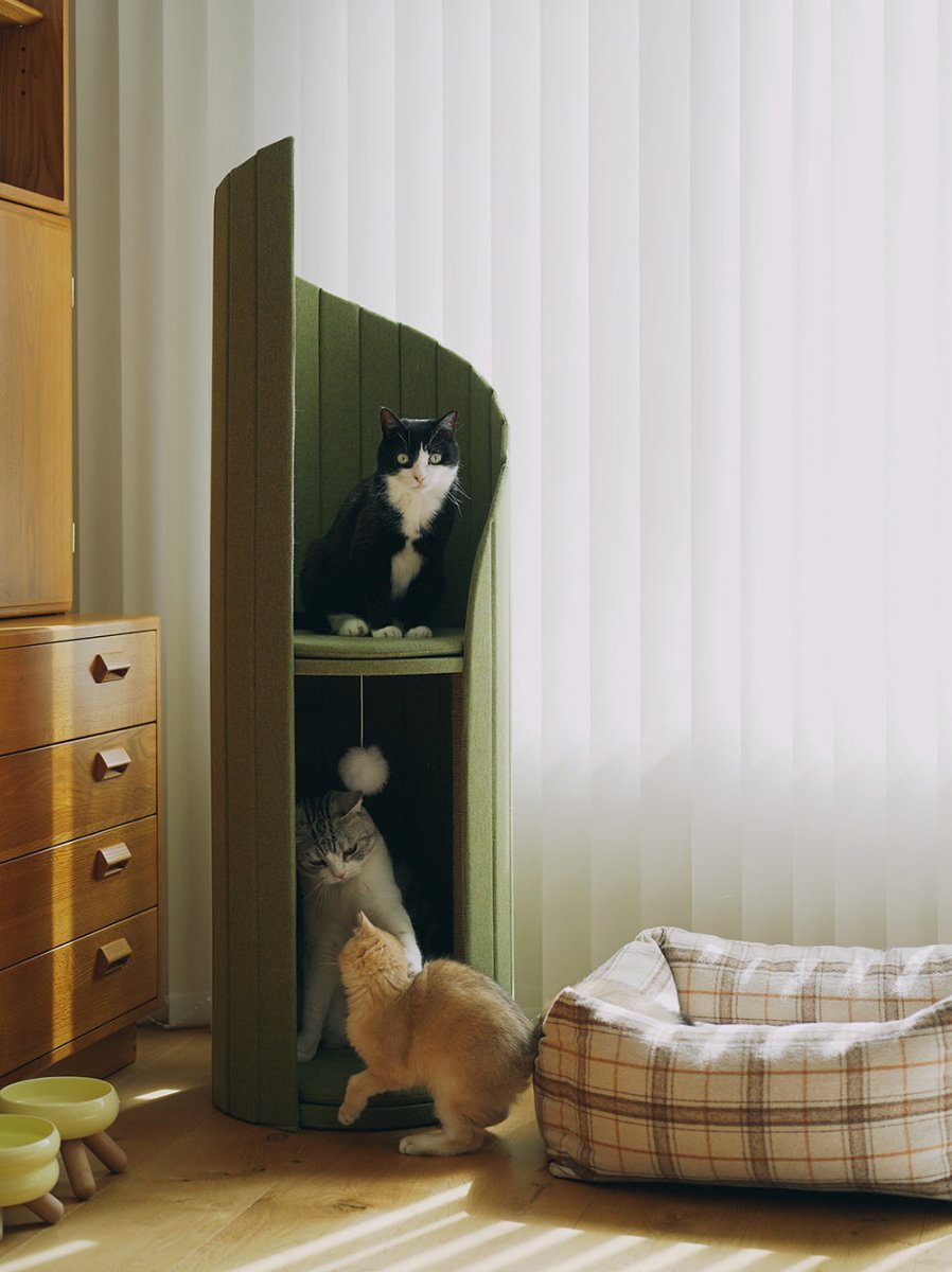 all dogs products all cats products all small animal products