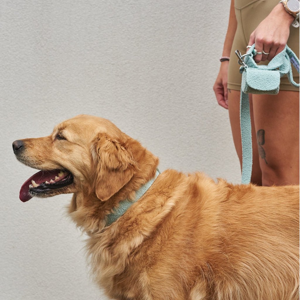 all dogs products all cats products all small animal products
