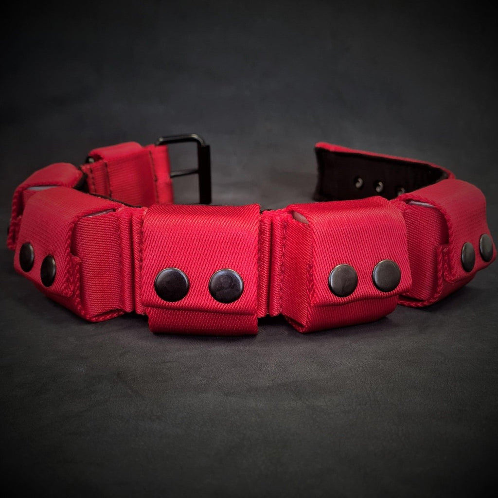 all dogs products all cats products all small animal products