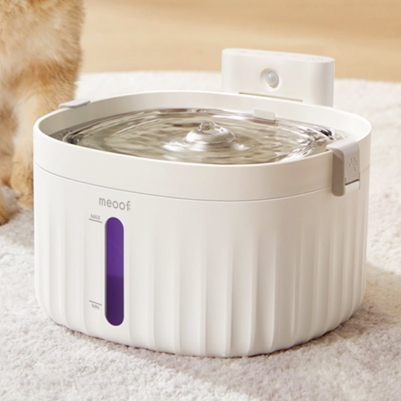 all dogs products all cats products all small animal products
