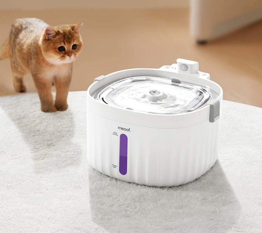 all dogs products all cats products all small animal products