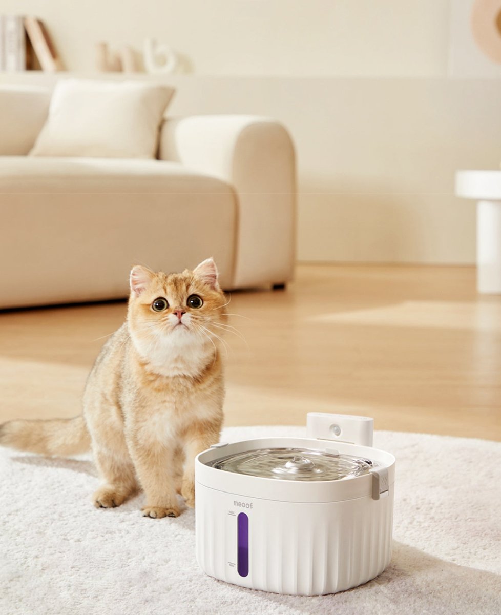 all dogs products all cats products all small animal products