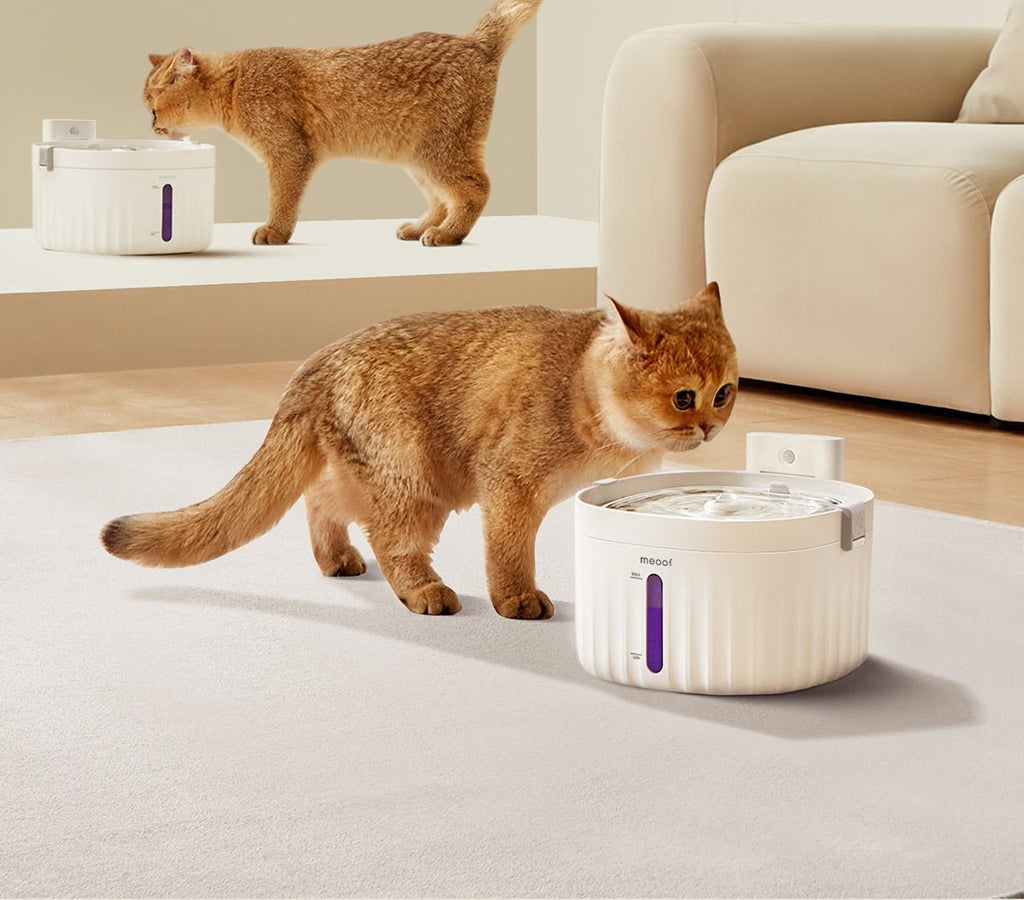 all dogs products all cats products all small animal products