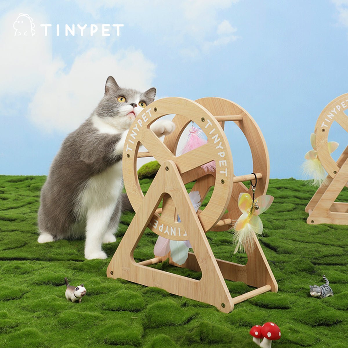 all dogs products all cats products all small animal products
