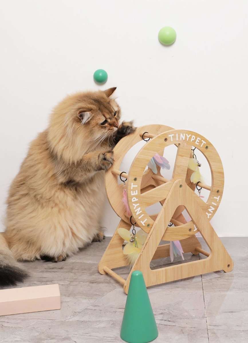 all dogs products all cats products all small animal products