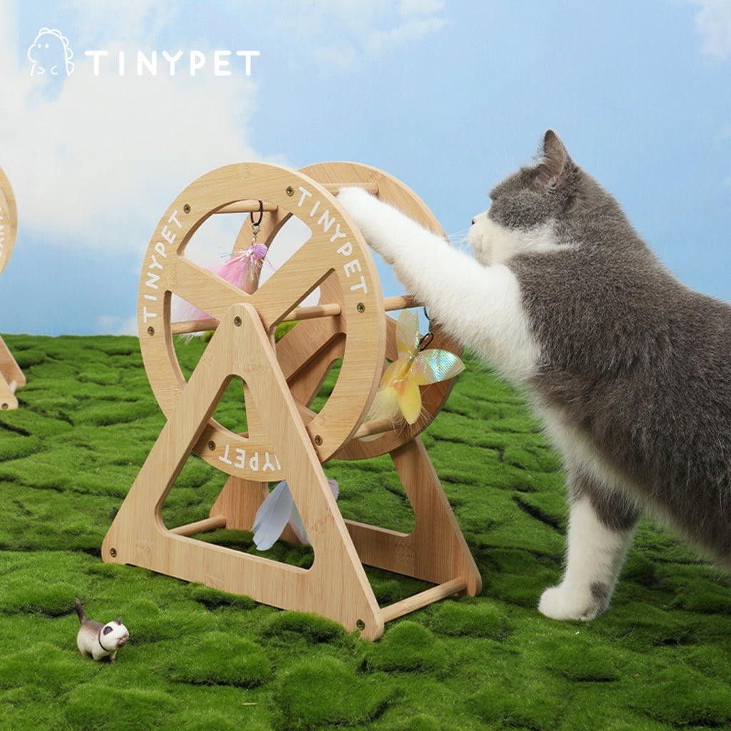 all dogs products all cats products all small animal products